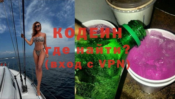 хмурый Каменногорск