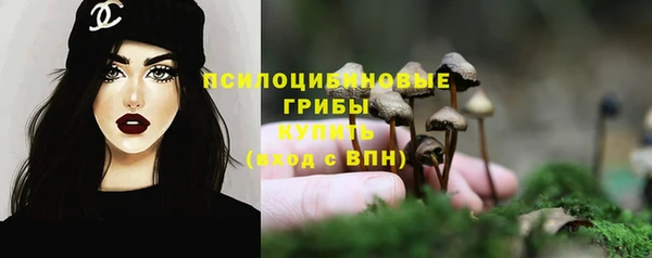трава Каменка