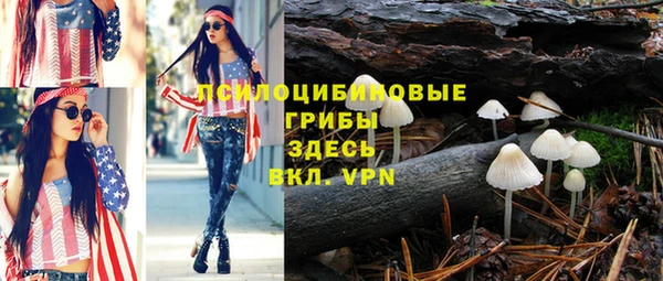 хмурый Каменногорск