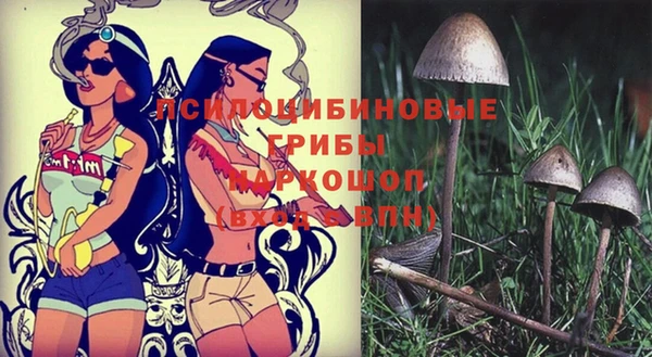 мефедрон мука Каменск-Шахтинский